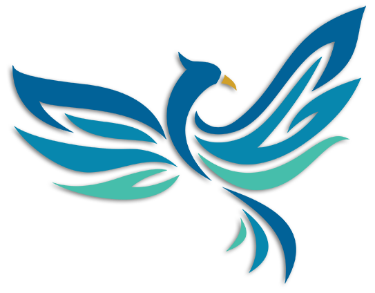 bird-shadow Bird logo graphic with drop shadow